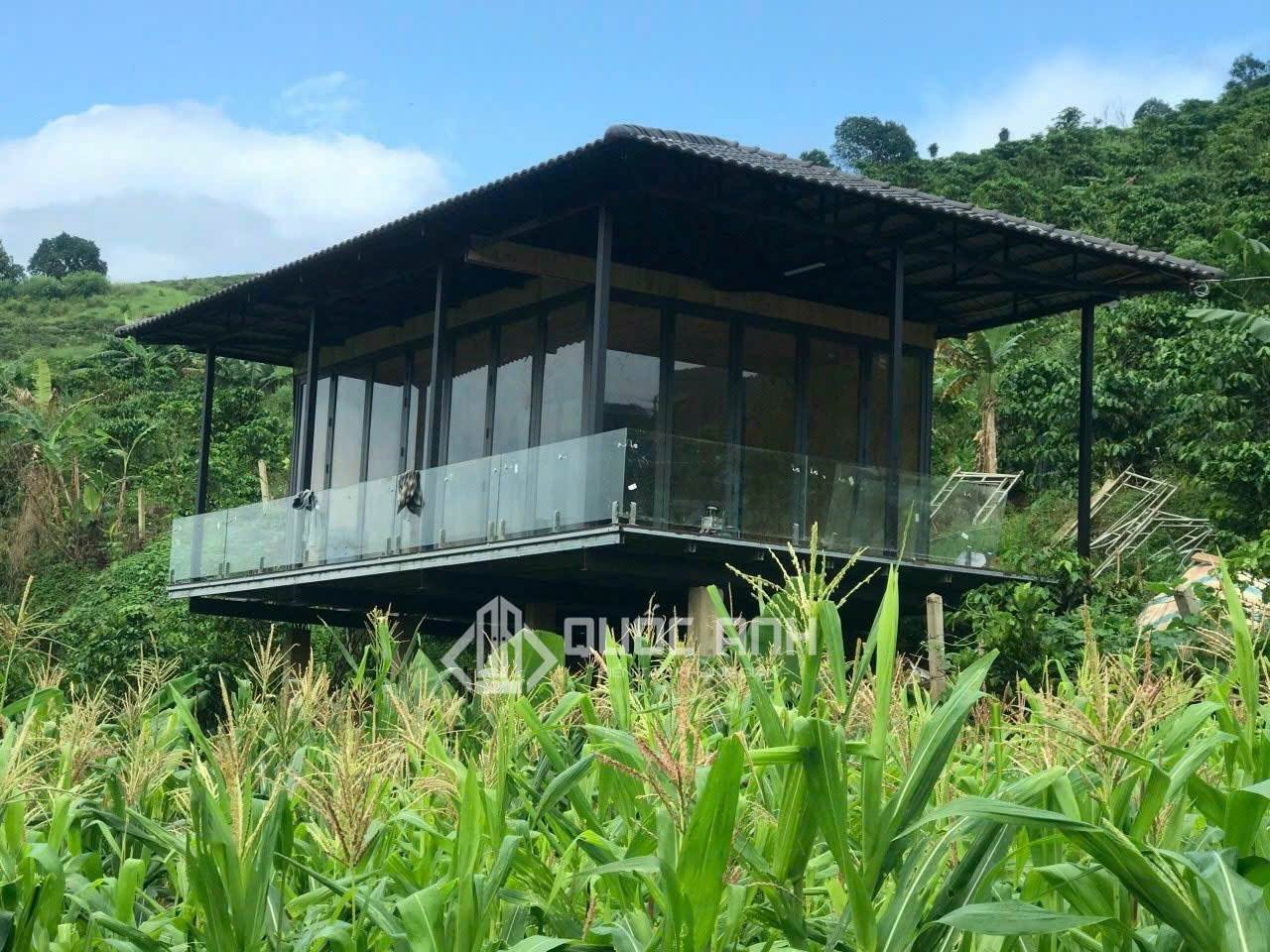 Tìm Hiểu Nhôm Xingfa Hệ 55: Ưu điểm và ứng dụng thực tế